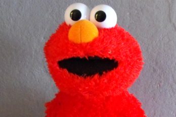 ¡Elmo ‘no va más’ en Plaza Sésamo! fue ‘despedido’ por órdenes de Donald Trump