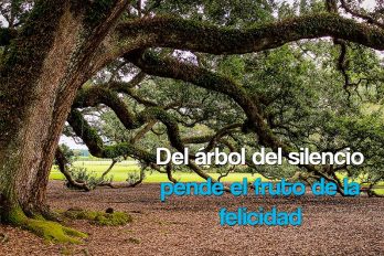 Del árbol del silencio pende el fruto de la felicidad