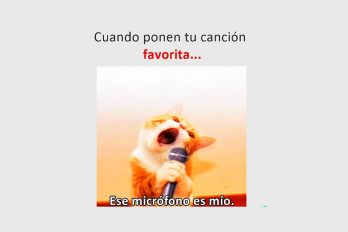 Cuando ponen tu canción favorita…