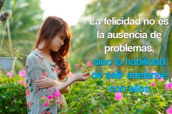 La felicidad no es la ausencia de problemas