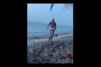 ¡Esto es verdadera justicia! Él intentó golpear a un perro en la playa… ¡Adivina quién salió en su auxilio!
