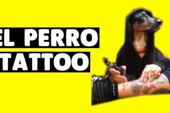 ¡Jajaja! El perro tatuador, la parodia que arrasa en Internet. ¿Te arriesgarías a dejarte hacer un tatuaje de él?