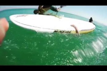 ¡No creerás lo que le pasó a este surfista! Un calamar gigante decidió ‘darle una mano’. ¿Qué habrías hecho en su lugar?
