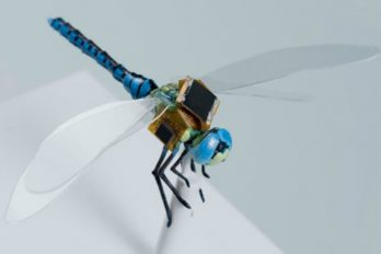 Conoce el dron más pequeño del mundo, ¡está en una libélula!