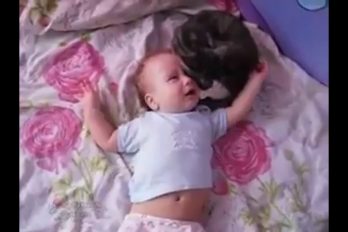 ¡Qué lindo! Este gatito logra calmar el llanto de una bebé. ¡Todos quisiéramos una niñera así de efectiva!