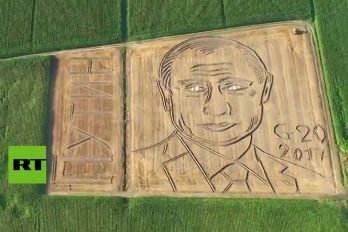 ¡Impresionante! El gigantesco retrato del presidente de Rusia hecho en un campo de trigo. ¿Cómo lo haría?