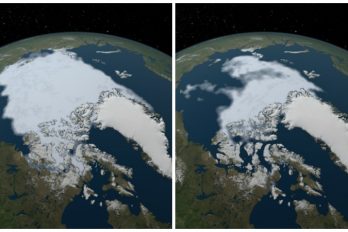 La NASA muestra como sufre la tierra por el cambio climático