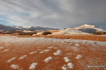 ¿Es normal que haya nevado en el desierto del Sáhara? ¡Las imágenes son hermosas!