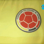 Un hincha oficial de la Selección Colombia