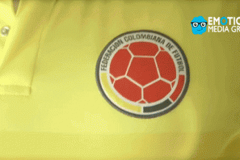 Un hincha oficial de la Selección Colombia