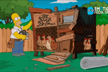 Homero construyendo un galpón de gallinas