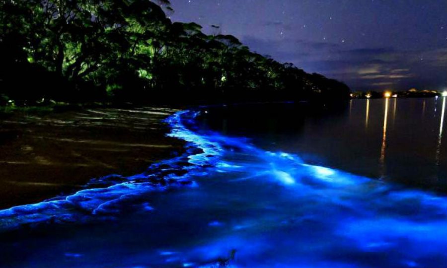 5 fenómenos naturales bellísimos. ¡Quedarás maravillado!