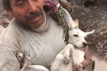 El hombre que rescató de las cenizas a su mascota luego de la erupción de un volcán