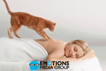 ¿Quieres un gato masajead