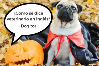 ¿Tu inglés da más miedo que los disfraces de Halloween? ¡Deja de aterrorizar a todos y aprende un nuevo idioma!