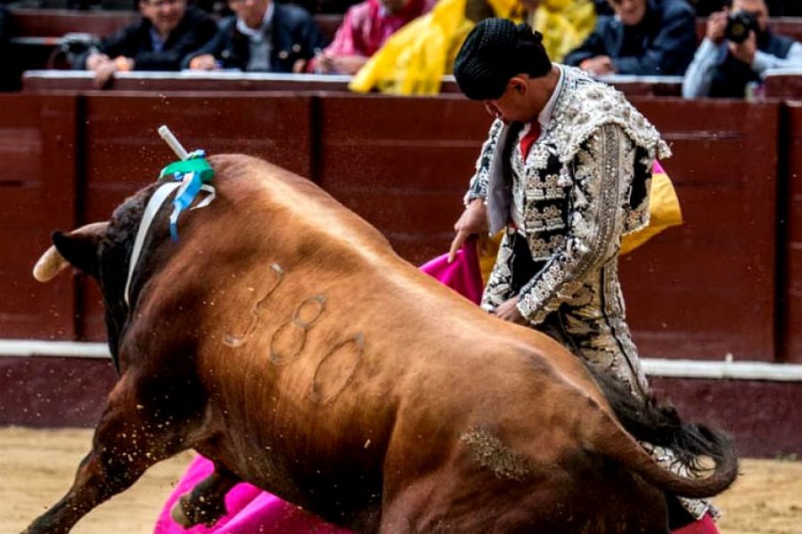 Las corridas de toros continuarán siendo legales en Colombia a pesar de la lucha de los animalistas