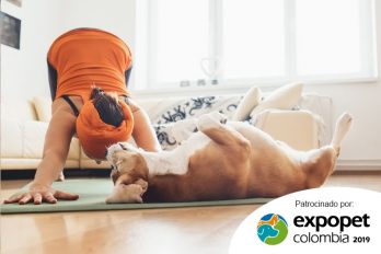 Aprende a disfrutar de doga en Expopet: una terapia de meditación y relajación para los perros