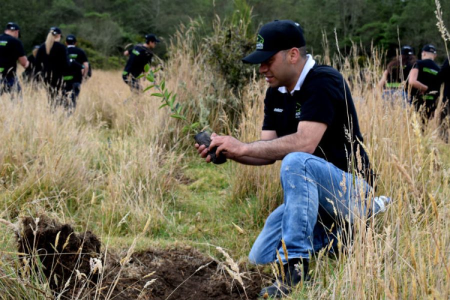 1.000 árboles que se suman a la iniciativa act4amazonia