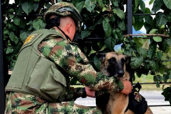 ¡Un valiente acto de amor! soldado da la vida para salvar a su mascota