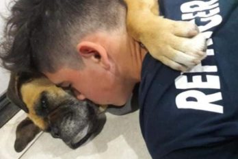 Una perrita murió abrazada a su dueño tras un ataque de pánico por sonido de pólvora