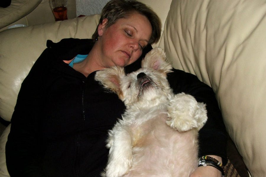 Dormir con tu perro podría ser más beneficioso que hacerlo con otra persona