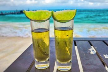 El poder del tequila: cinco beneficios científicos que ofrece este licor