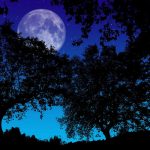 La extraordinaria 'Luna fría' cumplió y nos dio la noche más larga del año