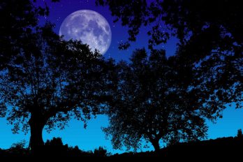 La extraordinaria ‘Luna fría’ cumplió y nos dio la noche más larga del año