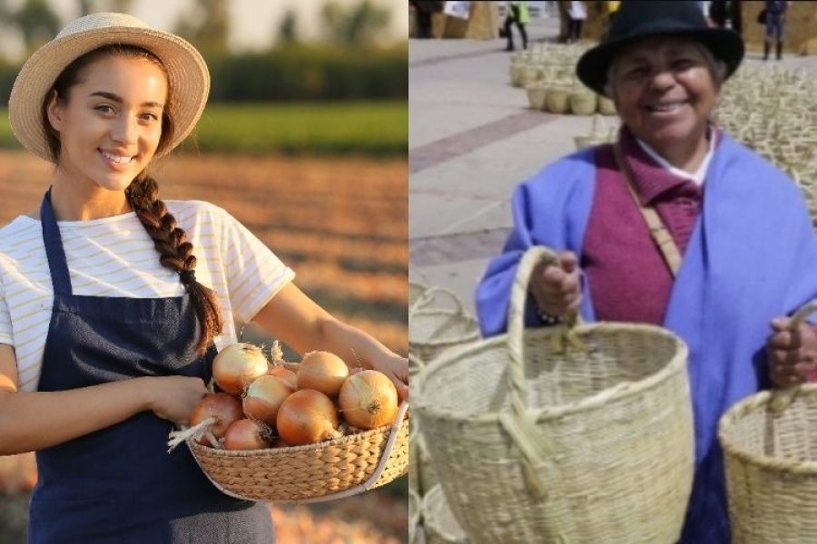 Los canastos son importantes para los colombianos y para el planeta: 7 razones que lo confirman