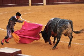 El municipio colombiano que le dijo no más a las corridas de toros ¡Gran iniciativa!