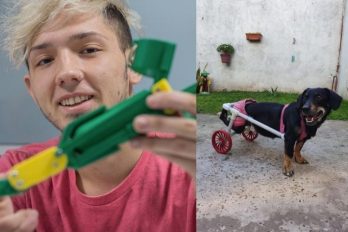El joven que crea prótesis para perros y las regala a los necesitados