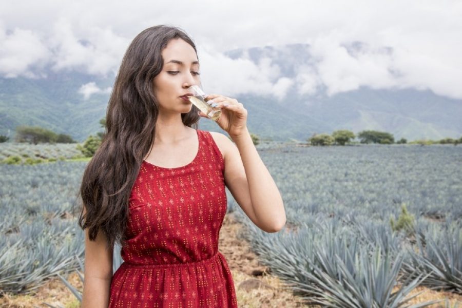 El tequila como arma contra el sobrepeso: las cualidades que tiene para bajar algunos kilos