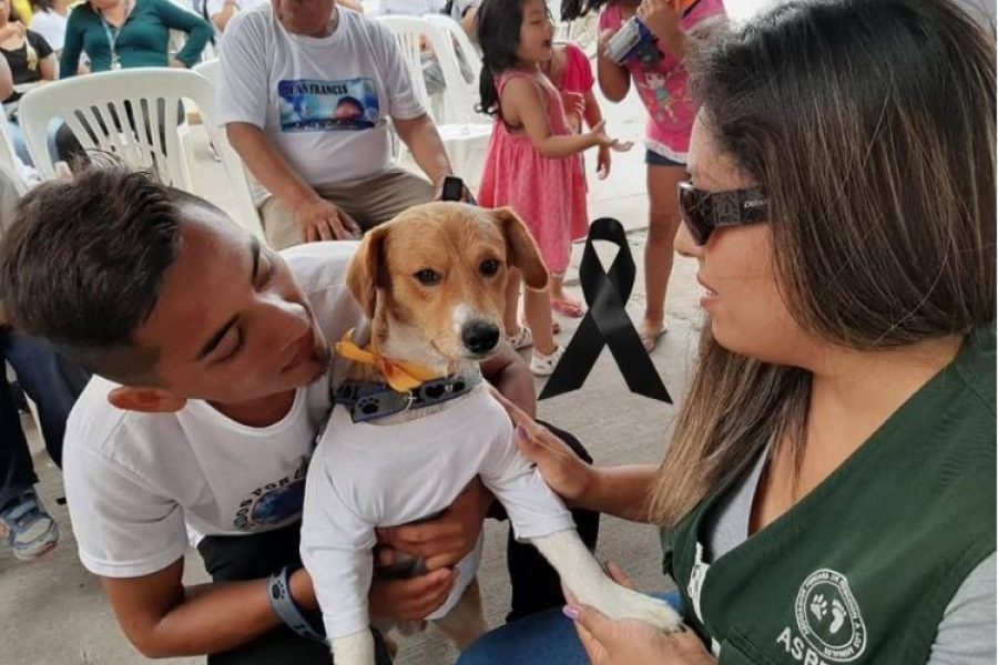 Niño de 13 años murió en incendio al tratar de salvar a su perro