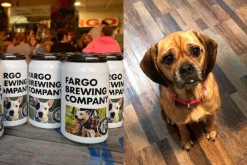 Cervecería usa sus latas para ayudar a perros abandonados a encontrar hogar