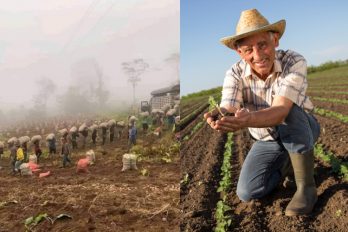Campesinos, los otros héroes anónimos de Colombia durante la crisis por el COVID-19