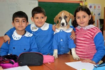 El perro callejero que usa uniforme y asiste a clase con los niños de la escuela  