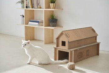 Lanzan cajas de televisores que se pueden convertir en casas para gatos…y hasta más