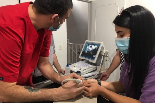 Zarigüeya recupera su visión tras cirugía hecha por primera vez en Colombia