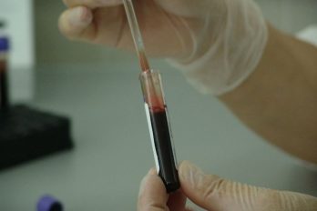 Tráfico de sangre de recuperados del COVID-19 ¡Ya está en el mercado negro!