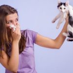 Alérgicos a gatos resisten más el COVID-19, según estudios ¡La razón es sorpresiva!