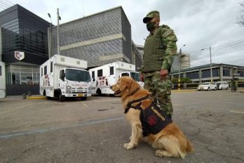 Colombia recibe 6 ambulancias para perros del Ejército que trabajan en desminado