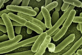 Bacteria que se fugó en un laboratorio en China deja cada vez más contagiados