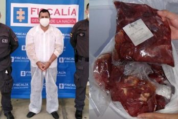 En Colombia, hombre vendió carne de burros y caballos para alimentar niños estudiantes
