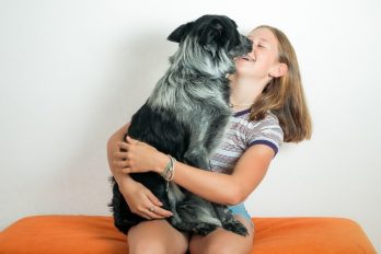 Estudio revela cómo los perros son capaces de detectar la “maldad” de las personas