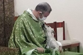 El sacerdote que lleva perros callejeros a las misas para que los adopten