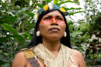 Indígena ganó “nobel ambiental” por salvar 202 mil hectáreas de selva de una petrolera