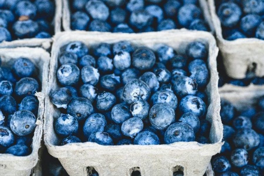 La razón por la que no nos gusta la comida azul: tiene una explicación científica