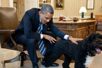 ‘Sunny’, la mascota del presidente Barack Obama, mordió la cara a invitada de la Casa Blanca