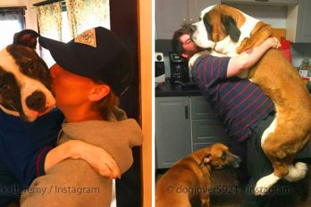 16 Imágenes que reflejan las emociones de los perros y sus dueños cuando se dan fuertes abrazos