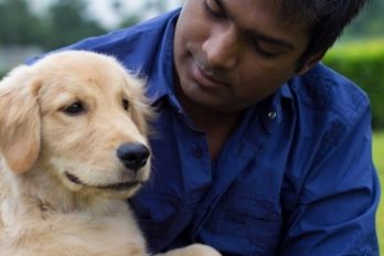 Esta empresa dará “licencia por paternidad” a quienes adopten una mascota